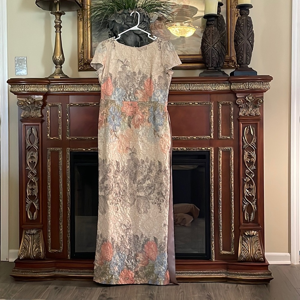 Adrianna Papell wedding guest/evening dress